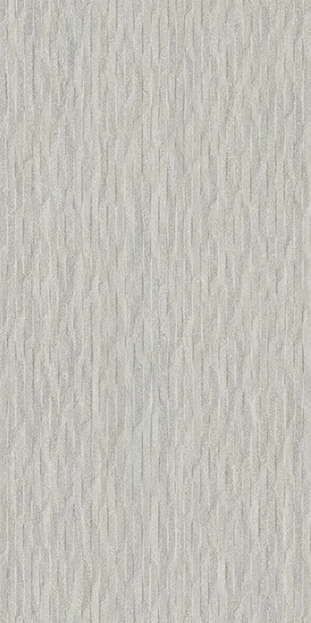 Elegance Pro Mural Grey Naturale 60x120